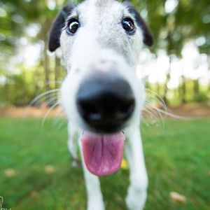 Meet your Posher, Donna